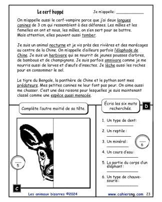 Les animaux bizarres (5e/6e années) - Le cerf huppé#2