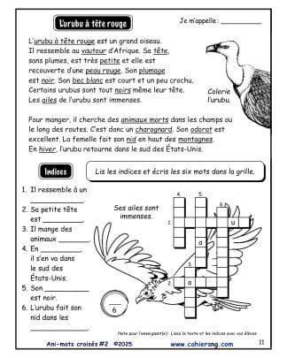 Ani-mots croisés #2 - L'urubu à tête rouge