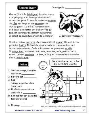 Ani-mots croisés #2 - Le raton laveur
