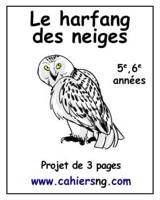 Le harfang des neiges (5e/6e) - PDF