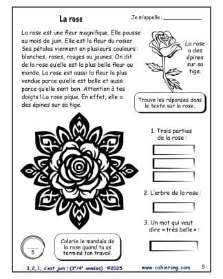 3, 2, 1, c’est juin ! – 3e/4e années - La rose