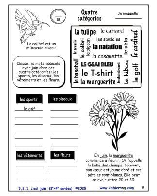 3, 2, 1, c’est juin ! – 3e/4e années - Catégories