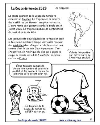 La Coupe du monde (5e/6e) - Foot, soccer ou football ? – Le trophée